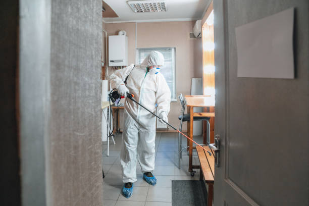 Reliable Cheverly, MD Mold Removal Solutions