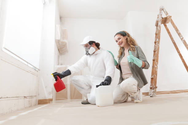 Asbestos and Lead Testing During Mold Inspection in Cheverly, MD